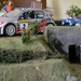 Monte Carlo 11
