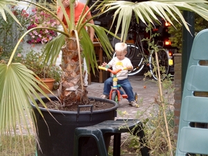 fietsgijs