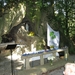 Mis aan de grot 2009 006