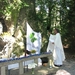 Mis aan de grot 2009 007