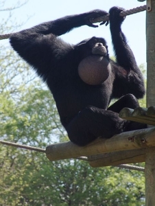 Jardim Zoolgico