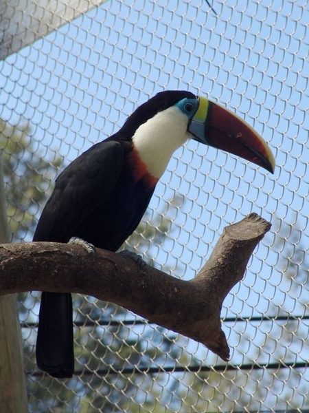 Jardim Zoolgico