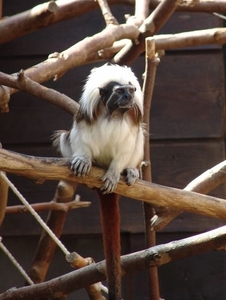 Jardim Zoolgico