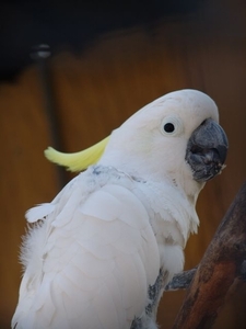 Jardim Zoolgico