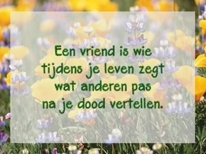 vriend