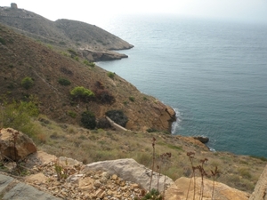 DSCN0460
