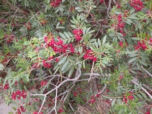 DSCN0476