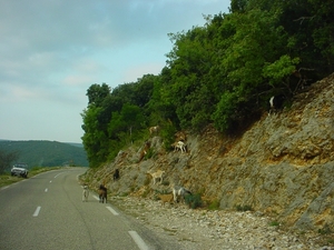 campervacantie 2008 172