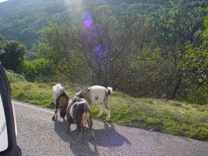 campervacantie 2008 179