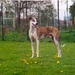 Scannen0023