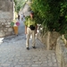Tijdens een vacancie in de Provence