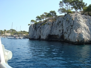 DSC00603