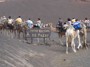 lanzarote1 039 - kopie