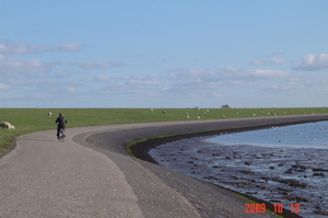 Fietstocht naar het oosten langs het wad