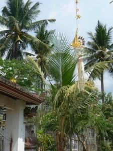 Galungan