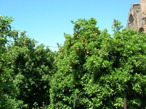 DSCN0001-9