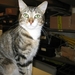 2005 aug 13 026