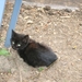 2005 aug 13 036