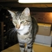2005 aug 13 024