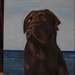 eerste maal een hond schilderen