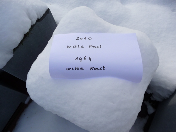 winter, kou, koude, vriesweer, temperatuur, thermometer, sneeuw, wit, witte, Kerst, Kerstmis, sneeuwvlok, sneeuwvlokken, sneeuwvlokjes