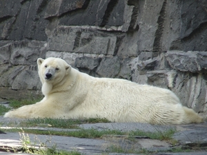 Berlin-Tierpark