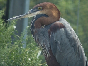 Berlin-Tierpark