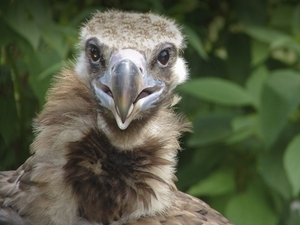 Berlin-Tierpark