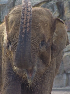 Berlin-Tierpark