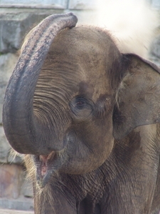 Berlin-Tierpark