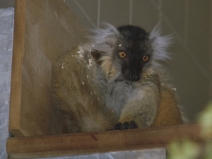 Berlin-Tierpark