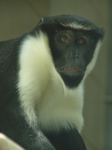 Berlin-Tierpark