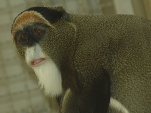 Berlin-Tierpark