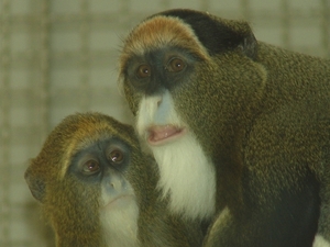 Berlin-Tierpark