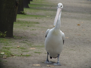 Berlin-Tierpark