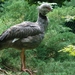 ZooParc Beauval in St-Aignan