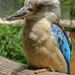 ZooParc Beauval in St-Aignan