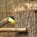 ZooParc Beauval in St-Aignan