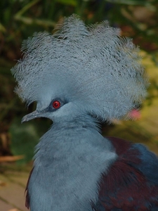 ZooParc Beauval in St-Aignan