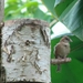 ZooParc Beauval in St-Aignan