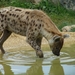 ZooParc Beauval in St-Aignan