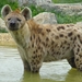 ZooParc Beauval in St-Aignan