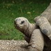 ZooParc Beauval in St-Aignan