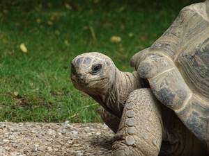 ZooParc Beauval in St-Aignan