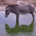 ZooParc Beauval in St-Aignan