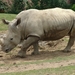 ZooParc Beauval in St-Aignan