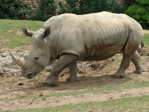 ZooParc Beauval in St-Aignan