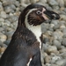 ZooParc Beauval in St-Aignan