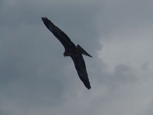 ZooParc Beauval in St-Aignan