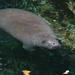 ZooParc Beauval in St-Aignan